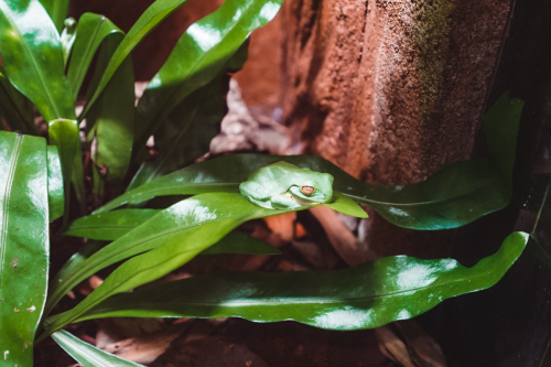 20230422-132458-cairnsaquarium-DSC06847