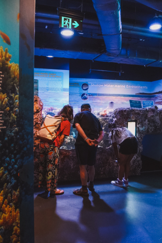 20230422-135158-cairnsaquarium-DSC06880