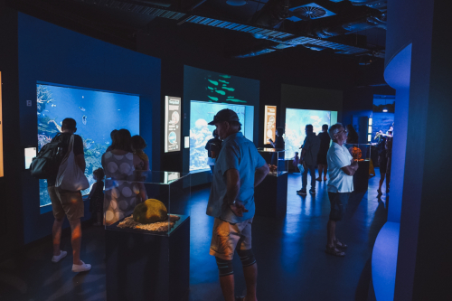 20230422-141730-cairnsaquarium-DSC06915