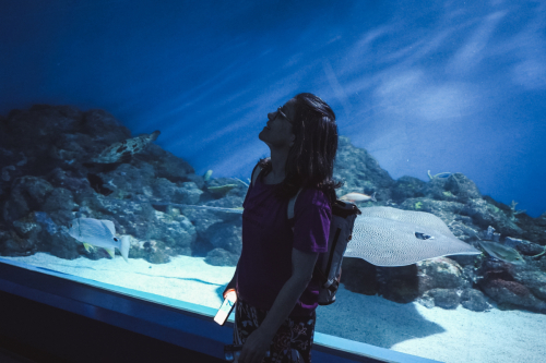 20230422-143625-cairnsaquarium-DSC06978