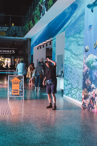20230422-150843-cairnsaquarium-DSC07052