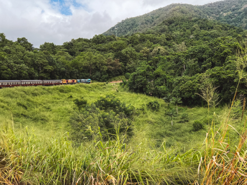 20230423-101049-kuranda-IMG_2120