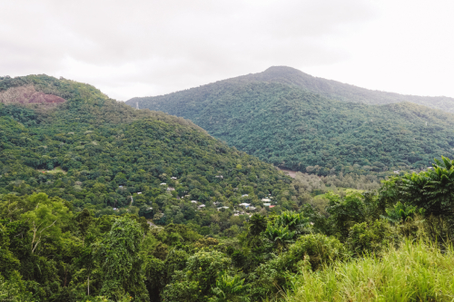 20230423-122914-kuranda-DSC07098
