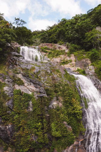 20230423-123921-kuranda-DSC07110