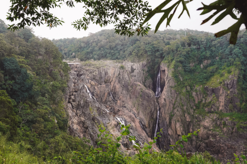 20230423-130845-kuranda-DSC07145
