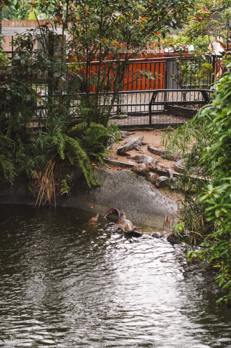 20230423-143958-kuranda-DSC07338