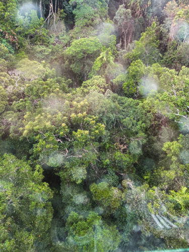 20230423-150900-kuranda-IMG_2205