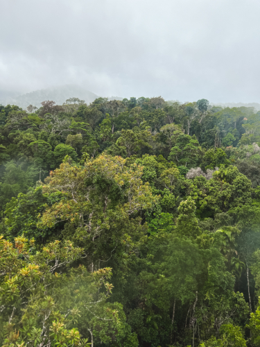 20230423-150908-kuranda-IMG_2208
