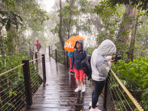 20230423-152727-kuranda-IMG_2230