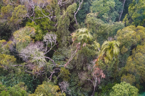 20230423-165624-kuranda-DSC07432