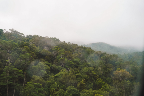 20230423-170335-kuranda-DSC07448
