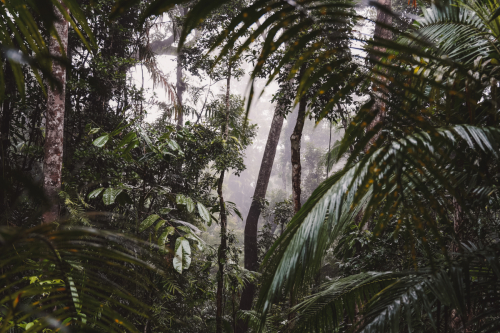 20230423-171947-kuranda-DSC07470