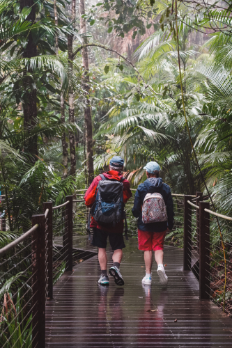 20230423-171959-kuranda-DSC07474