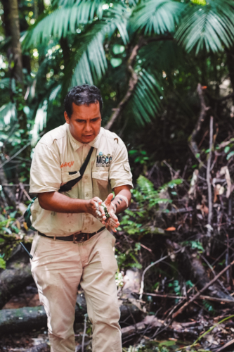 20230426-121754-daintreerainforest-DSC07703