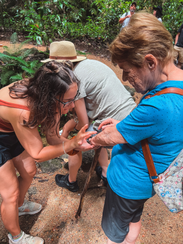 20230426-122202-daintreerainforest-IMG_2338