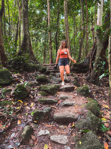 20230426-133345-daintreerainforest-IMG_2344