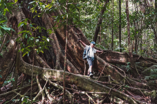 20230426-134156-daintreerainforest-DSC07746
