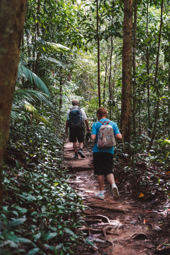 20230426-135959-daintreerainforest-DSC07754