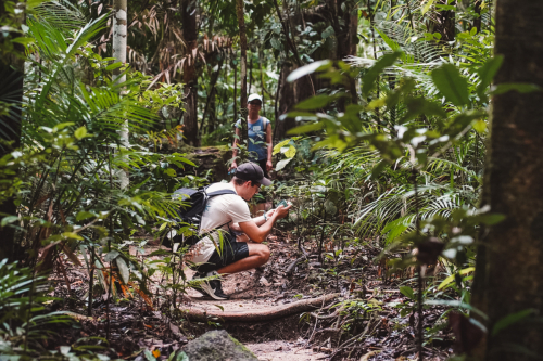 20230426-141324-daintreerainforest-DSC07789