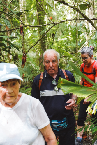 20230427-105213-daintreerainforest-DSC07861