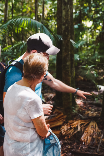 20230427-112503-daintreerainforest-DSC07875
