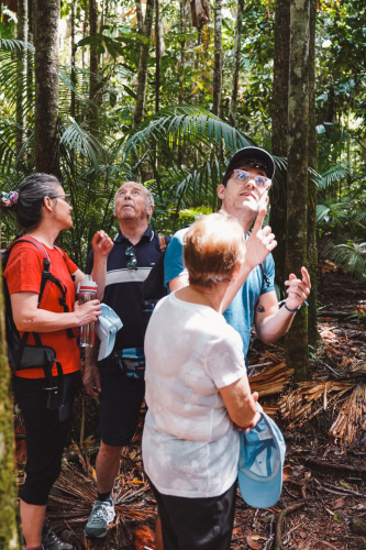 20230427-112507-daintreerainforest-DSC07877