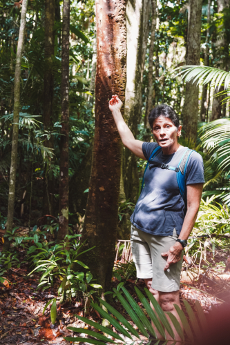 20230427-113516-daintreerainforest-DSC07880