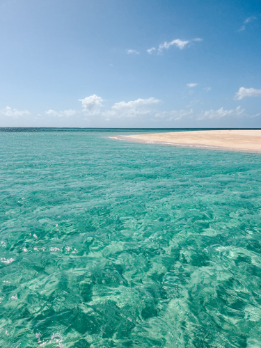 20230429-104826-greatbarrierreef-IMG_2508