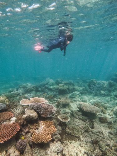 20230429-120751-greatbarrierreef-GOPR1708