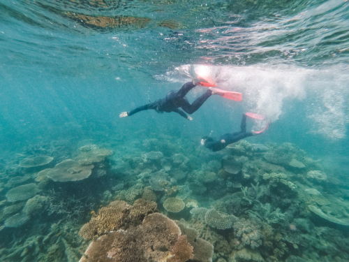 20230429-120917-greatbarrierreef-GOPR1711