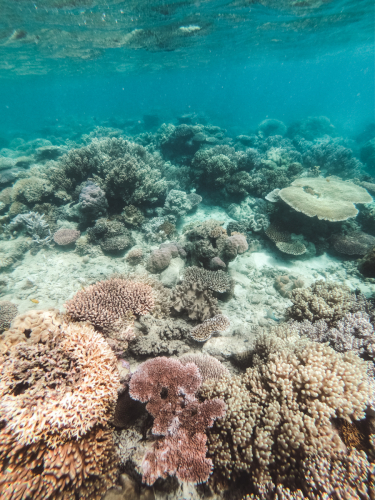 20230429-134010-greatbarrierreef-GOPR1760