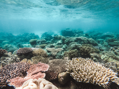 20230429-134215-greatbarrierreef-GOPR1765
