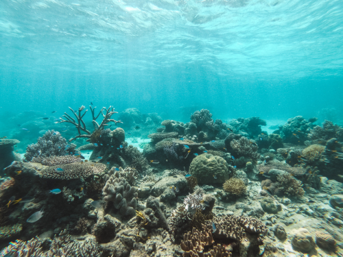 20230429-134233-greatbarrierreef-GOPR1767