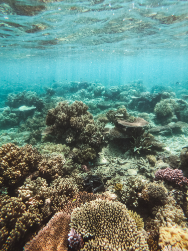 20230429-134351-greatbarrierreef-GOPR1769