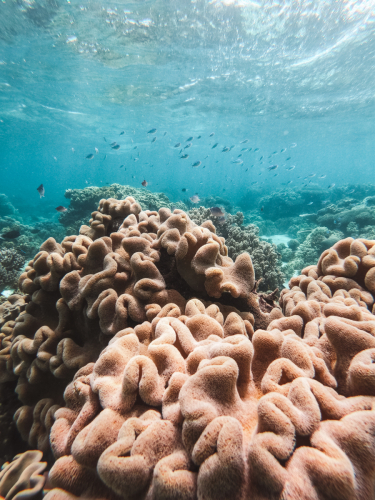 20230429-134435-greatbarrierreef-GOPR1772