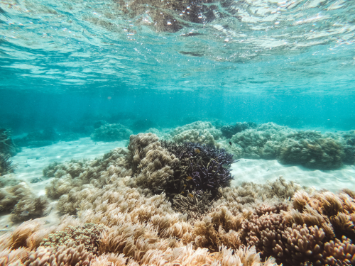 20230429-135128-greatbarrierreef-GOPR1789