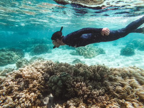 20230429-135153-greatbarrierreef-GOPR1792