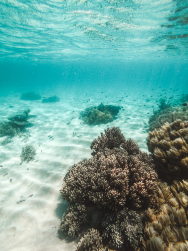 20230429-135301-greatbarrierreef-GOPR1796