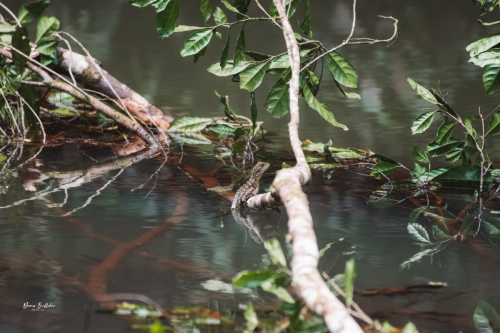 20230502-125623-athertontablelands-_JMB6279-Edit