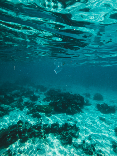 DCIM100GOPROGOPR1887.JPG
