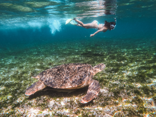 DCIM100GOPROGOPR2014.JPG