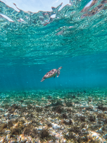 DCIM100GOPROGOPR2045.JPG