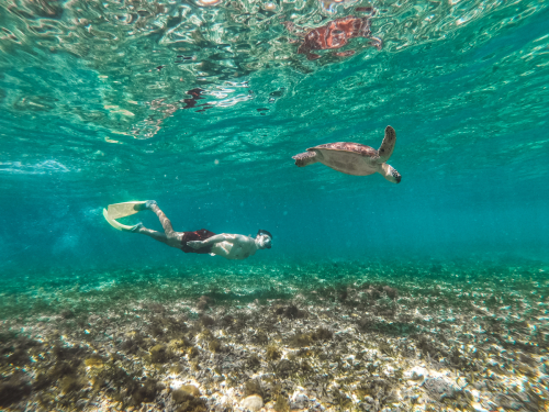 DCIM100GOPROGOPR2046.JPG
