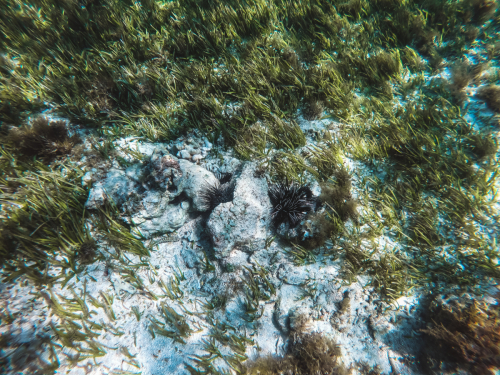 DCIM100GOPROGOPR2070.JPG