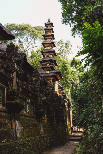 20230603-094750-ubud-DSC09029