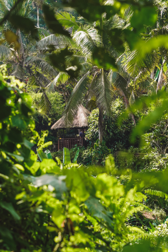 20230603-094946-ubud-DSC09032
