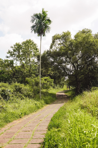 20230603-100130-ubud-DSC09040