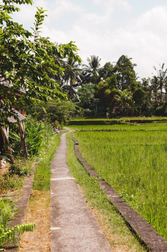 20230603-132210-ubud-DSC09109