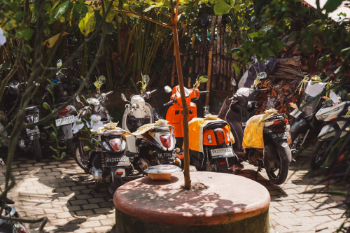 20230603-132636-ubud-DSC09119