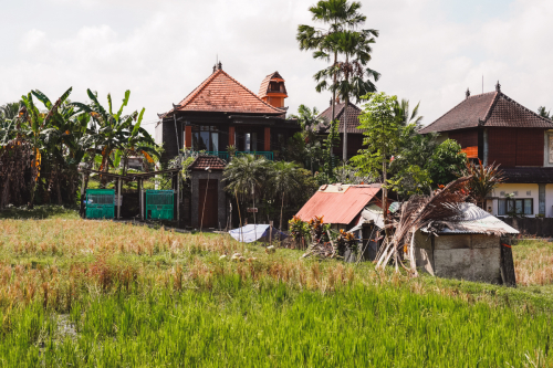 20230603-132816-ubud-DSC09122